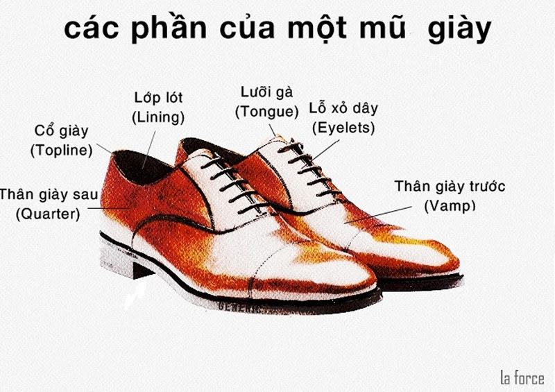 lưỡi gà giày