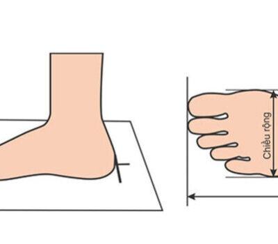 Bảng Size giày UK Nam – Nữ – Cho bé trẻ em đúng chuẩn nhất