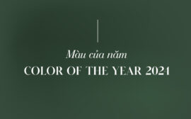 Màu của năm là gì? Tìm hiểu về Color of the year 2024