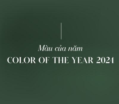 Màu của năm là gì? Tìm hiểu về Color of the year 2024