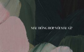 Màu hồng hợp với màu gì? Cách phối màu hồng đẹp cho nam